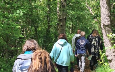 Op avontuur in de natuur: Bushcraft in de Rottige Meenthe